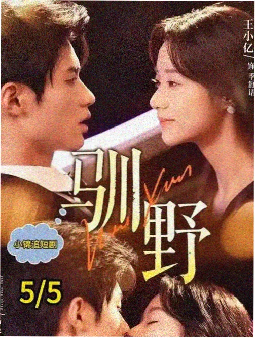 灯下故人 剧集 缩略图